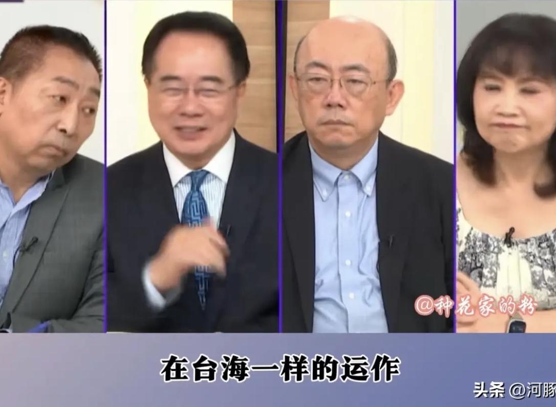 台湾学者政论直播这幕太有戏了！四位大咖聊两岸统一，蔡正元一句“台湾待遇会比香港好