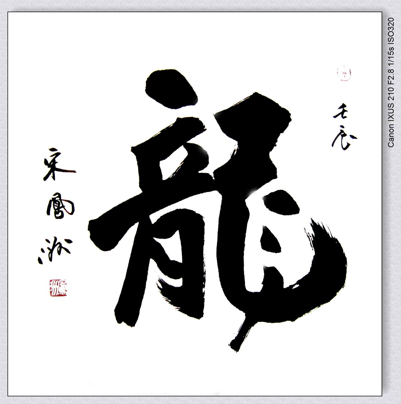 大字四尺斗方：龙