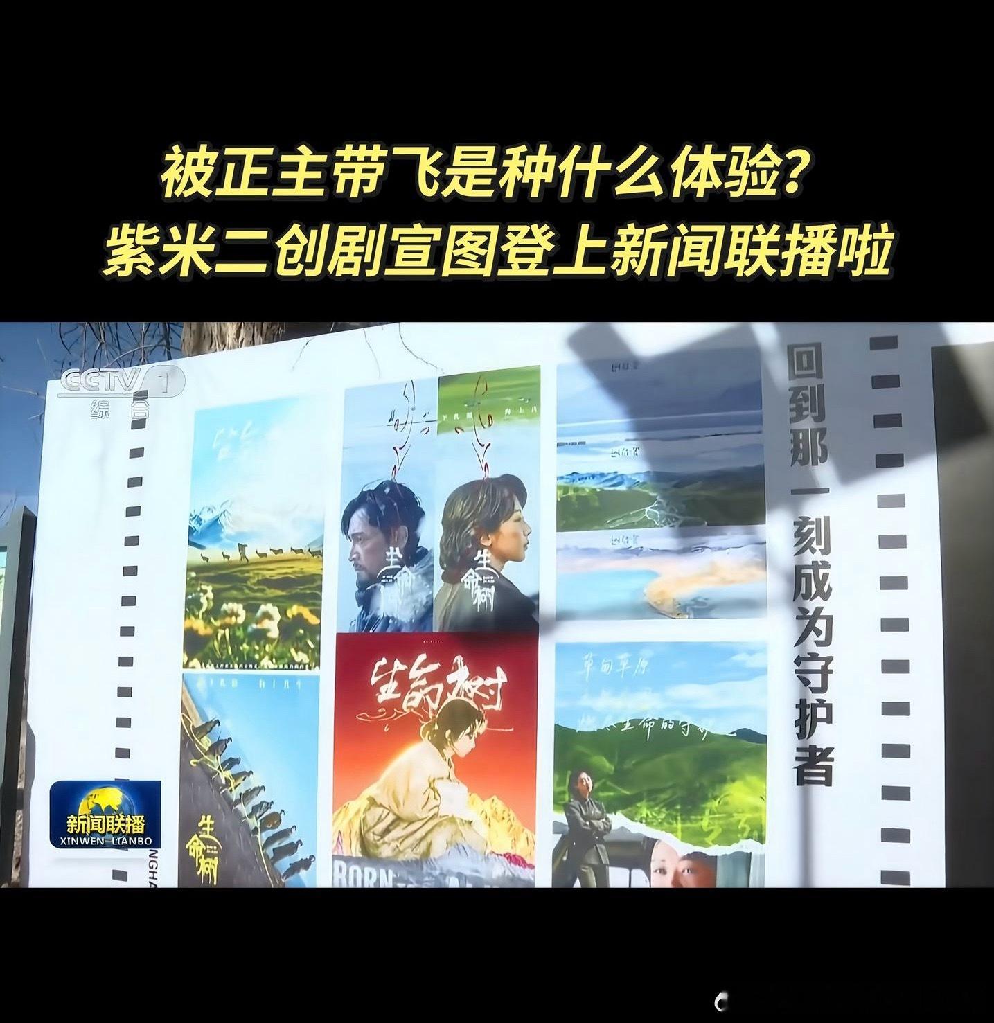 粉丝被带飞是什么感觉，履历刷新，上过新闻联播！！！ 杨紫生命树登上新闻联播