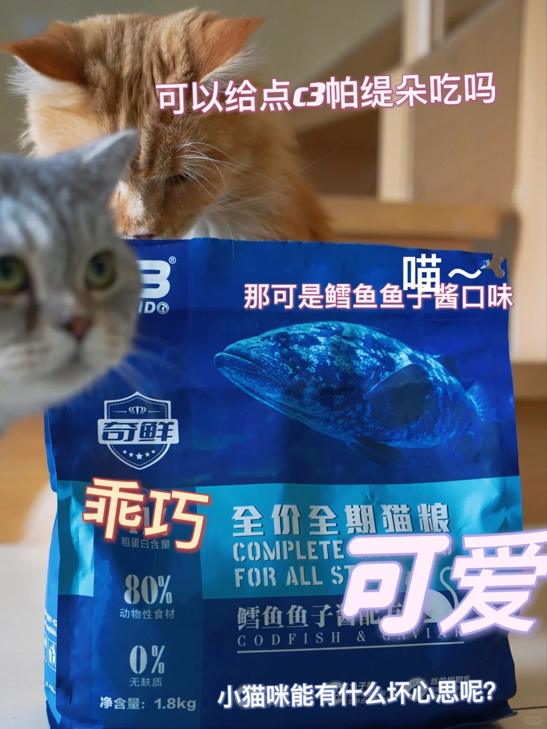 C3帕缇朵奇鲜系列猫粮，猫咪肠胃的守护神！🤞