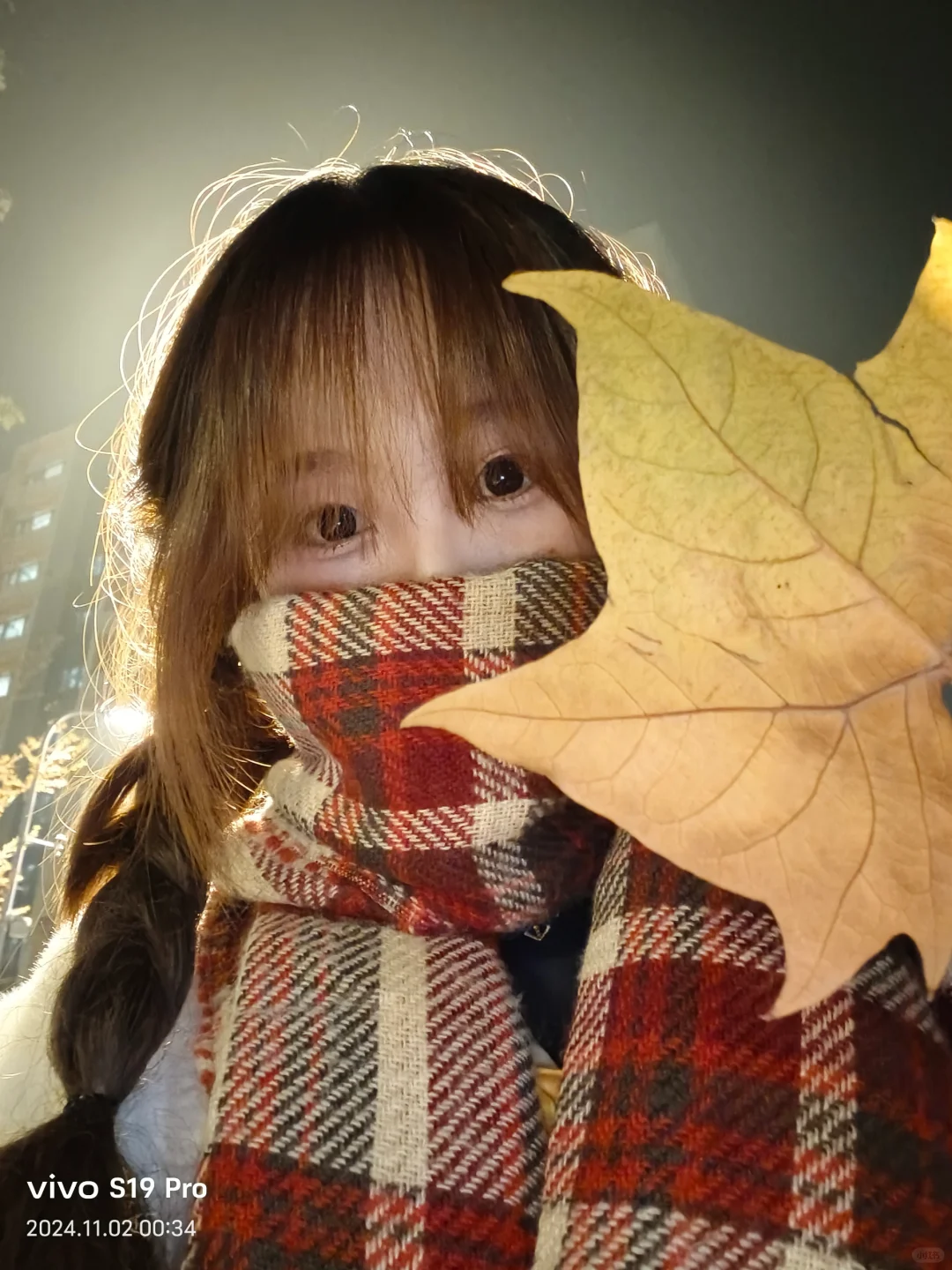 今年冬天会遇到心软的审稿人吗|氛围感|live