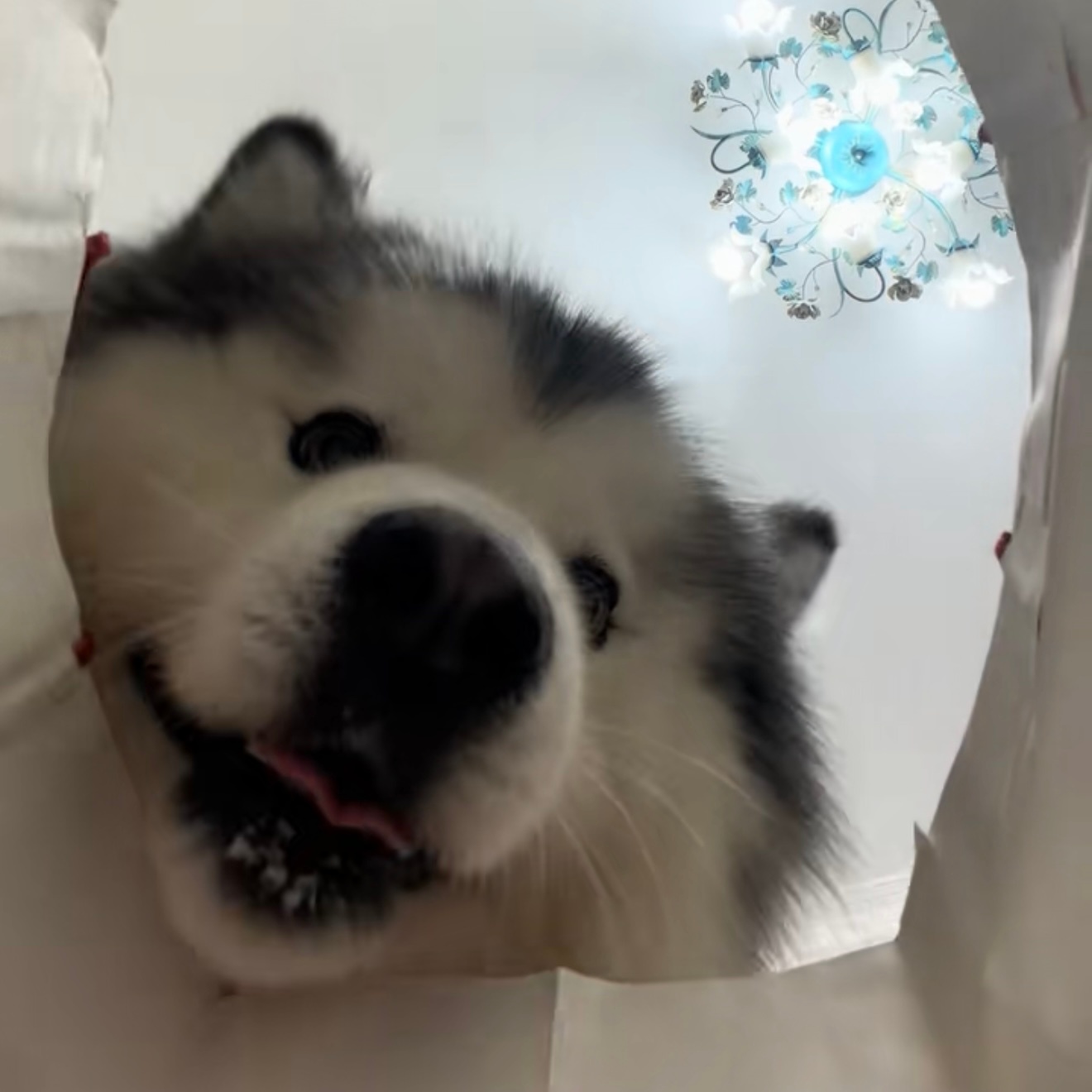没什么不同。 