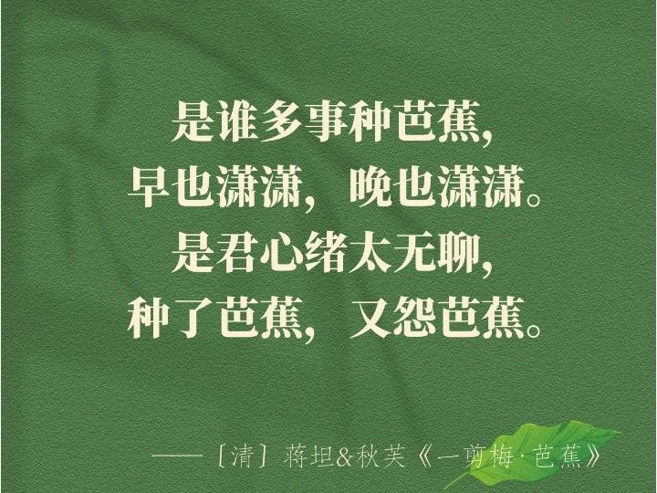 不看还在更新的剧，缺少踏实感与良好观感。好不容易跟着剧把情绪，感觉都调动起来了，