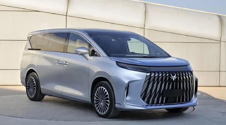 日前，我们从最新一期工信部目录中看到了极狐全新大型MPV的申报信息。
新车内部代