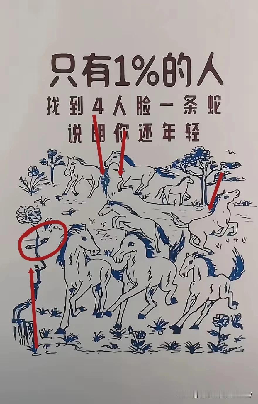 四個人一條蛇。