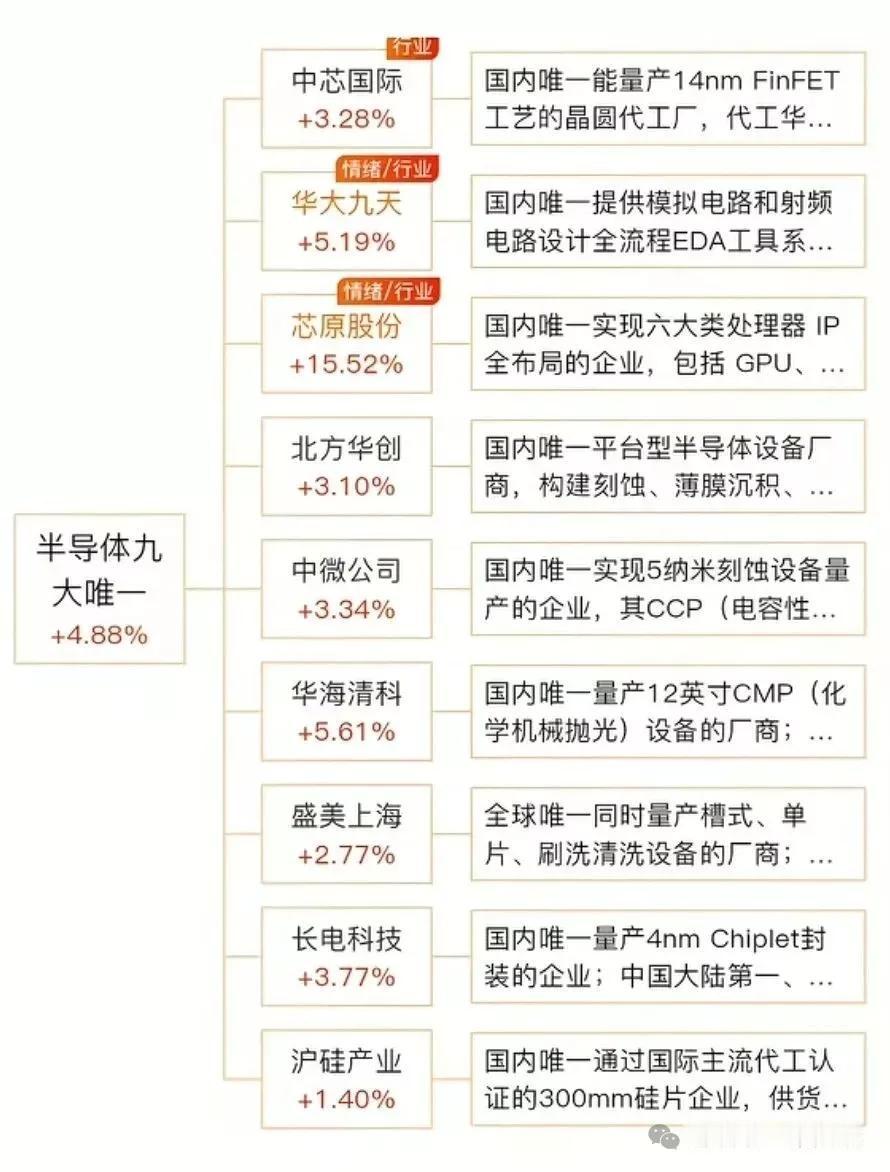 产半导体9大唯一性龙头名单
半导体九大“唯一”企业，尽显硬核实力！中芯国际国内唯