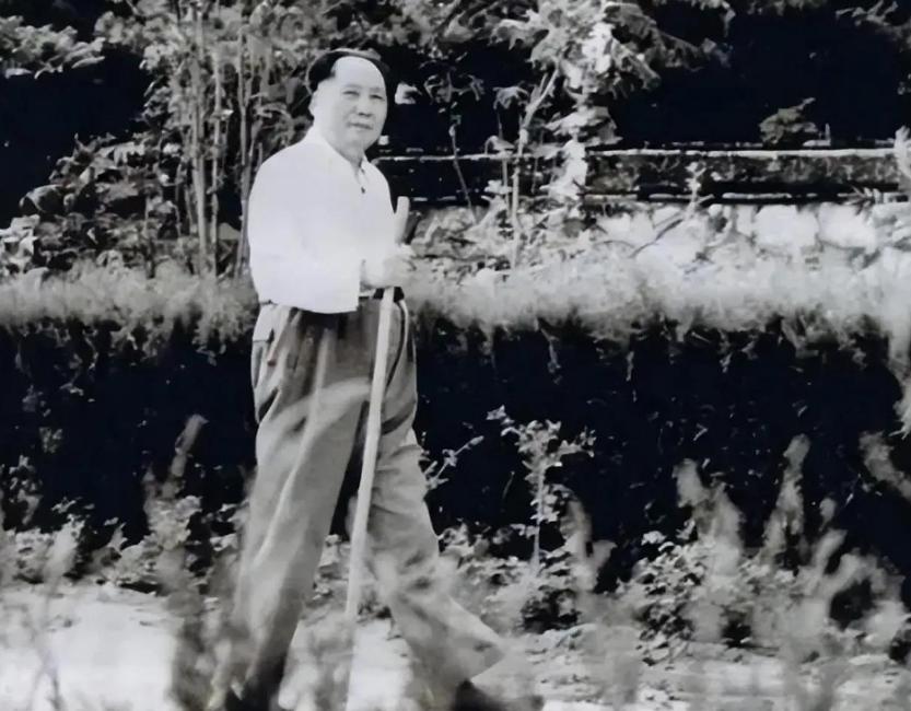 毛泽东晚年走路时，常常随手捡起一根树枝当拐杖。这个看似不经意的举动，背后是他一贯