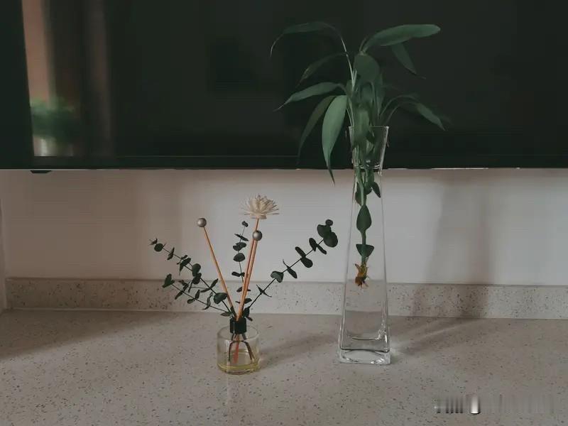 尝尽生活百味，才懂平淡是真。