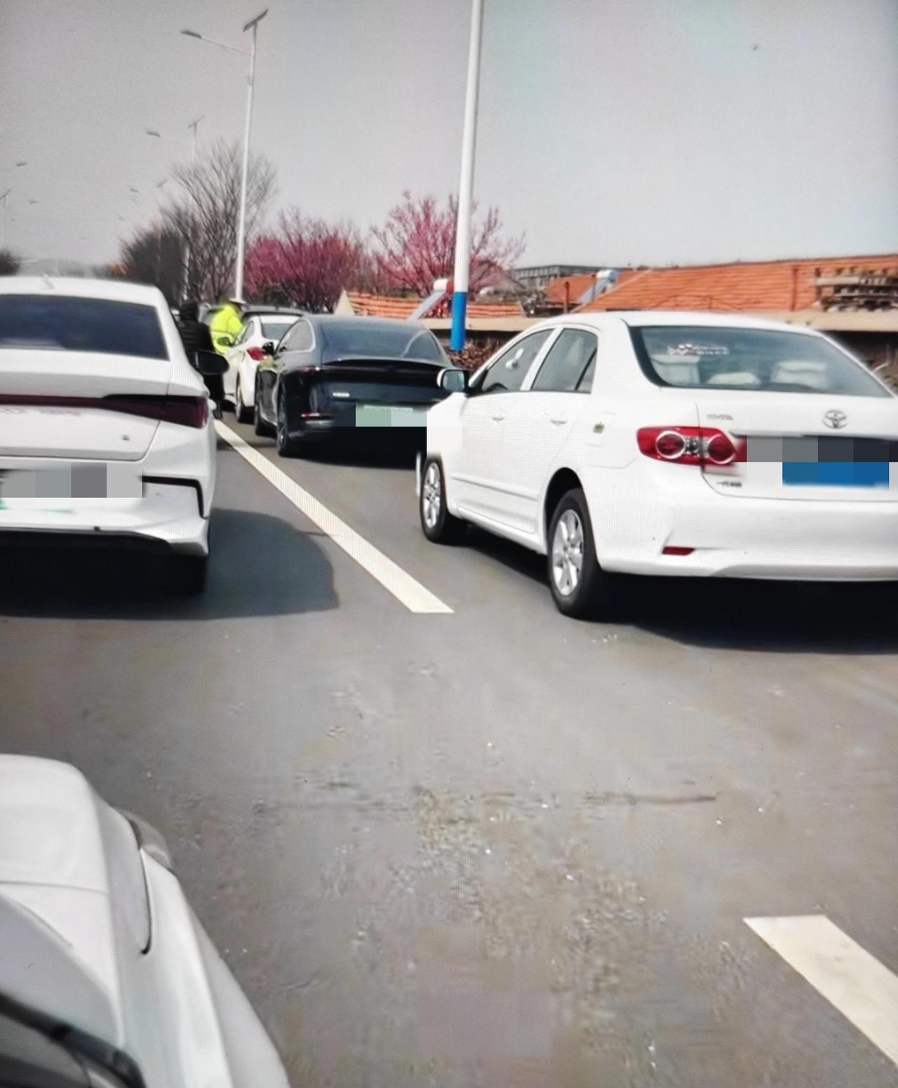 近日，即墨区鳌山卫街道鳌角石村南的天柱山梅花谷火了，很多市民慕名前去赏花！但是大