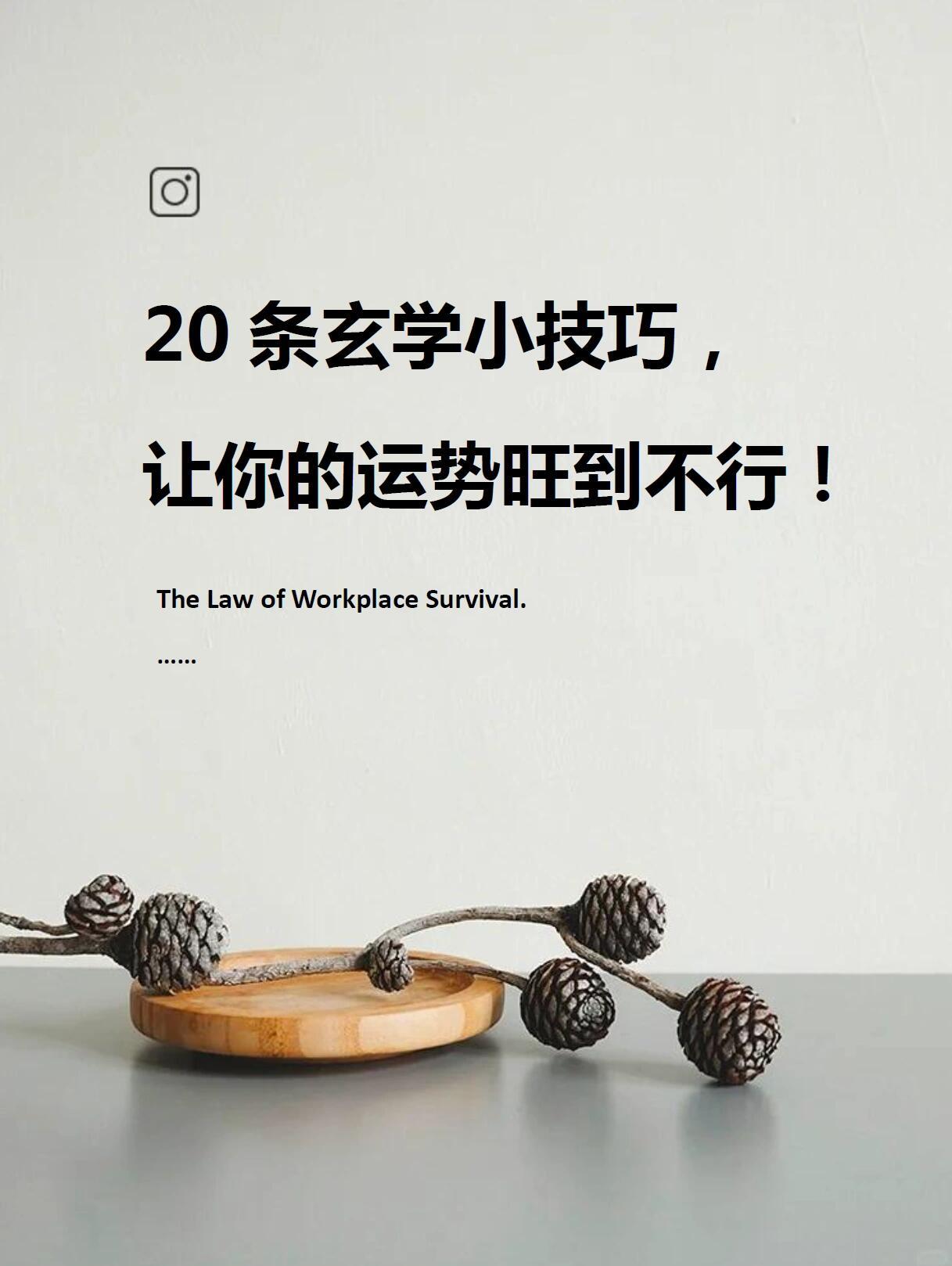 运势20 条玄学小技巧，让运势旺到飞起！开篇引言想提升运势，让事业、爱情、财运都