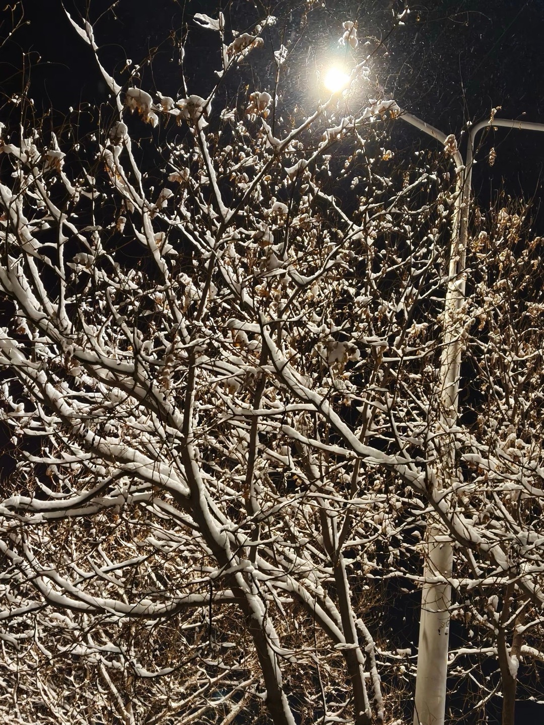 绝对不要和愚蠢的人争论，他们会把你拖到他们那样的水平，然后回击你。 