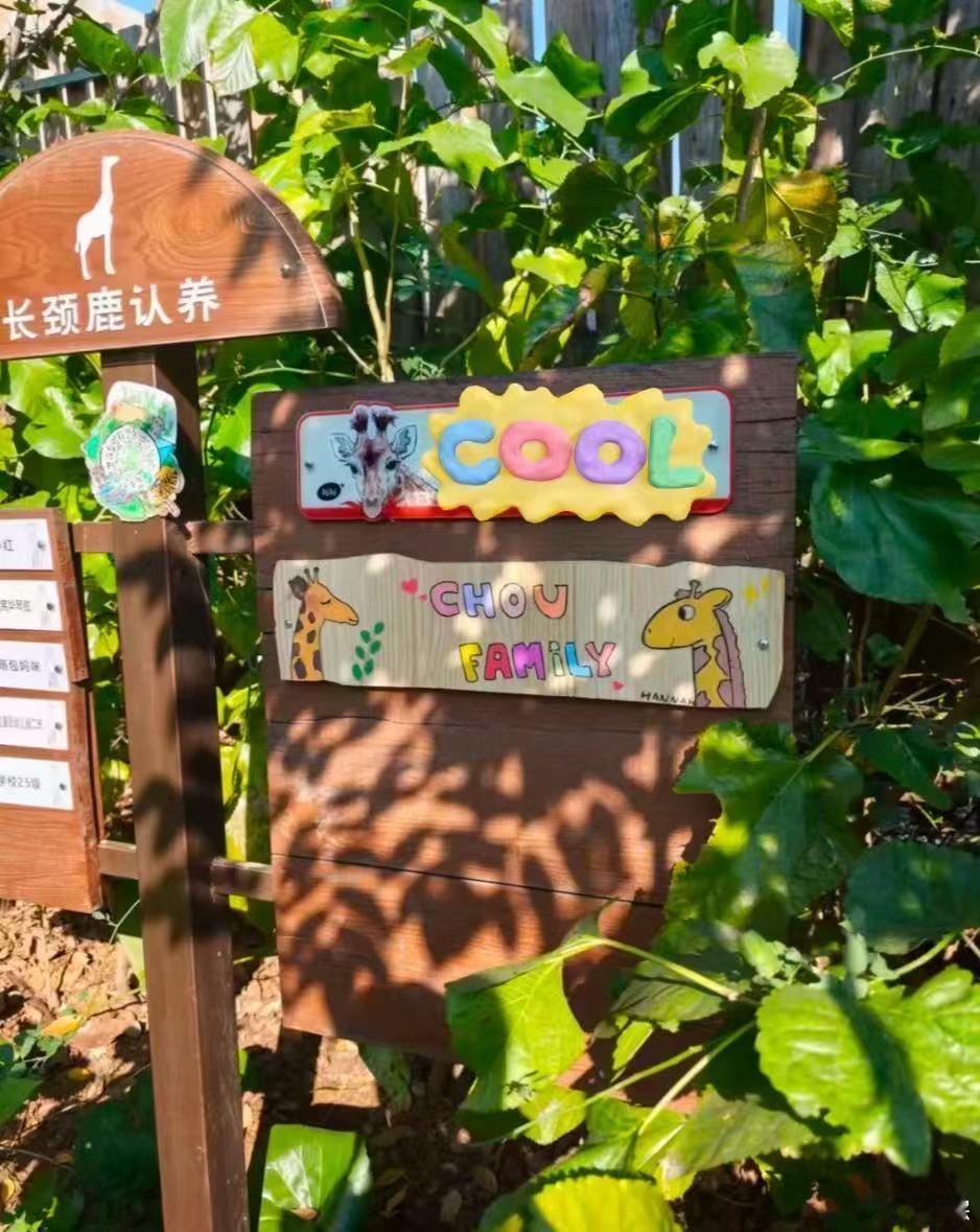 周杰伦不仅认养还救助了长劲鹿周杰伦不仅认养还救助了长劲鹿！周杰伦从救助到认养长劲