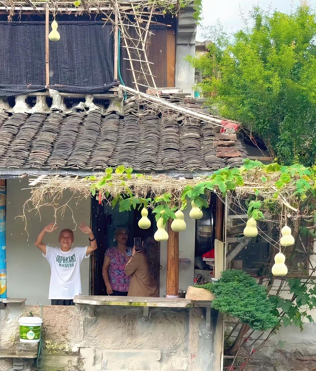现实版的葫芦爷爷，没有葫芦的图片是网友4月份拍的 ​​​