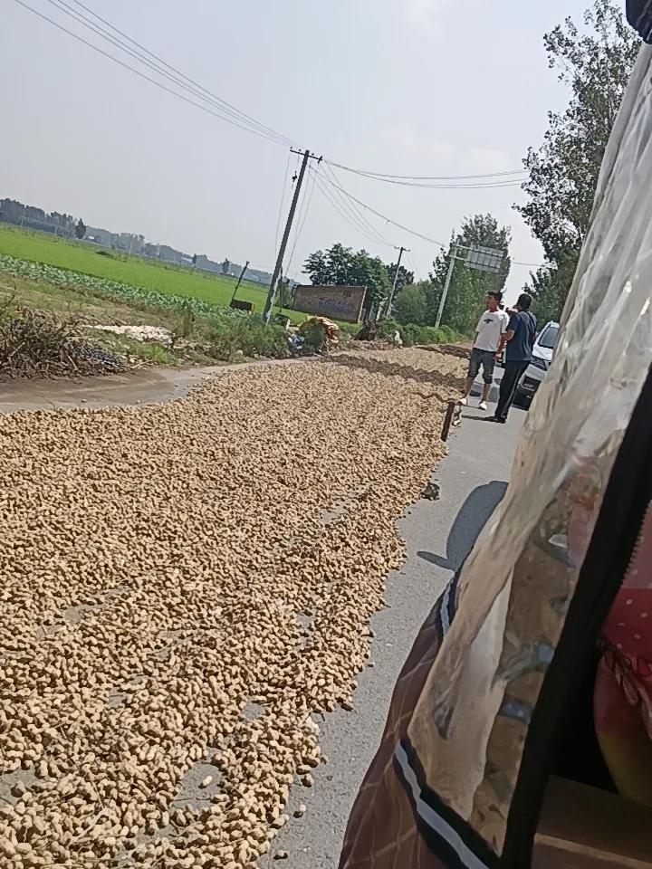 也没有人管管，堵了五个小时还在堵车呢！




这个公路也不是自己家铺的，看看晒