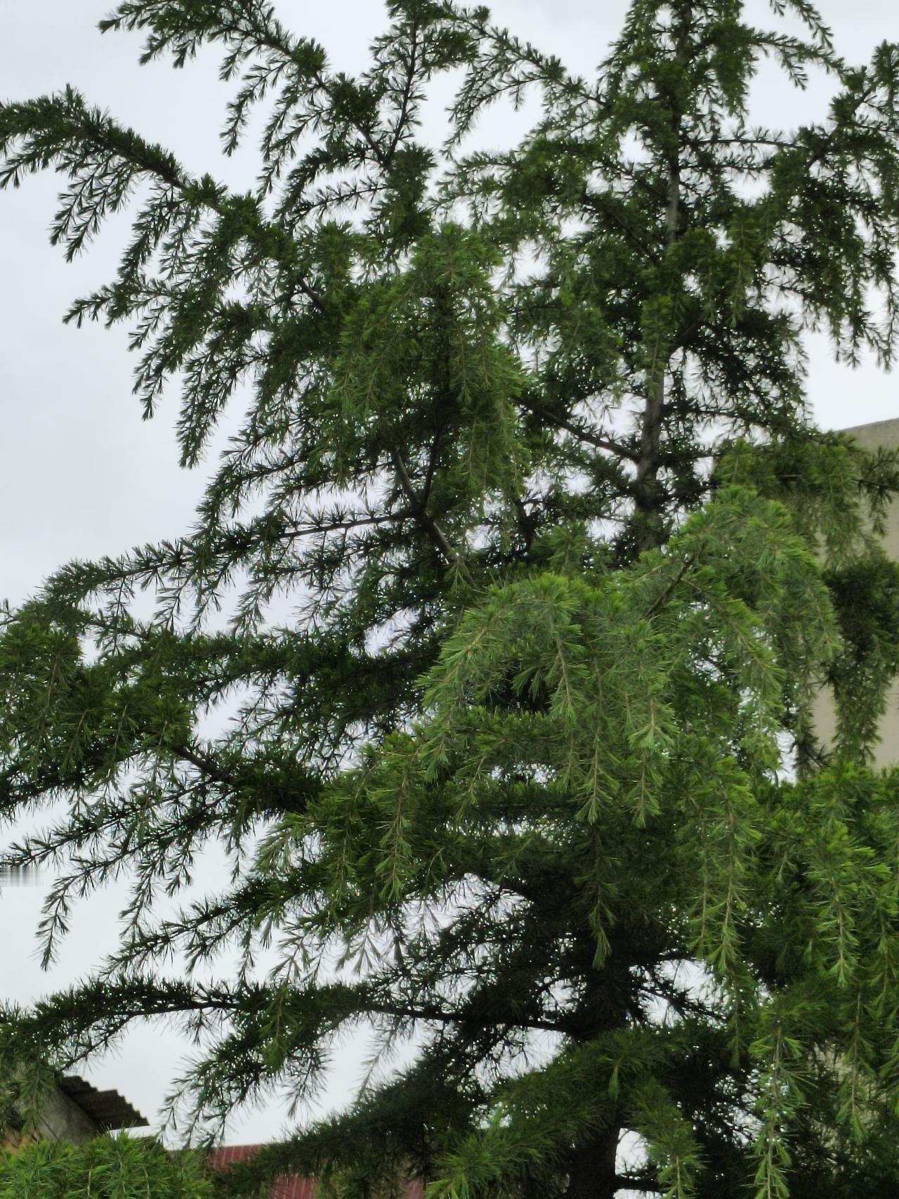 人的本性，这辈子都改不了
 
常听人说，浪子回头金不换，也有人说坏人总能改好，可