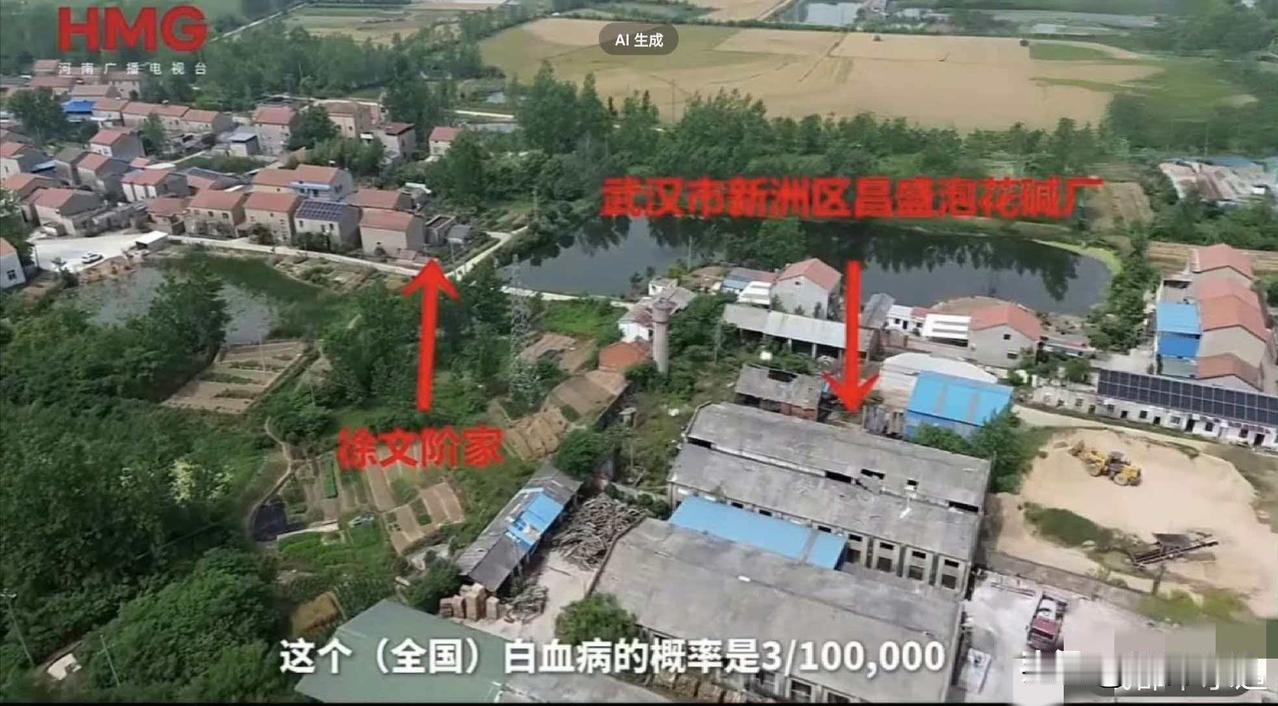 武汉585人村庄62人患癌！谁在敷衍生命？
刷到武汉黄土坡自然村的热搜，整个人破
