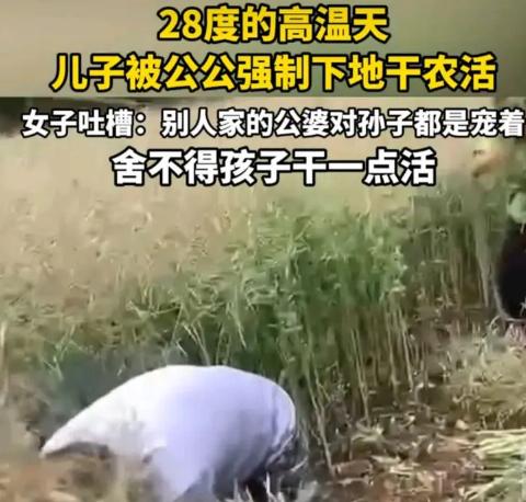 5月10日，湖北，一个儿媳控诉自己62岁的公公，在28度的高温天气里，执意要让1