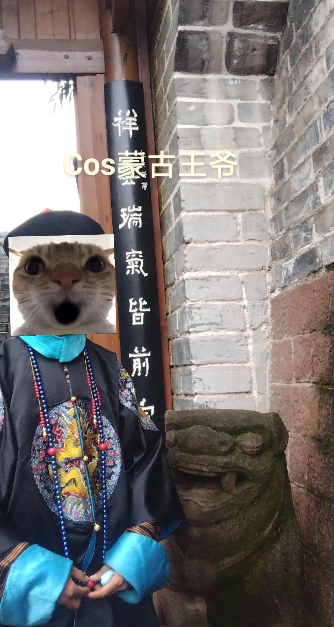 清朝官服四团龙