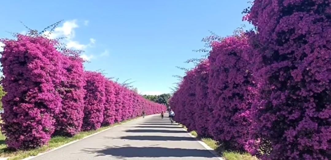 每日生活点滴记录