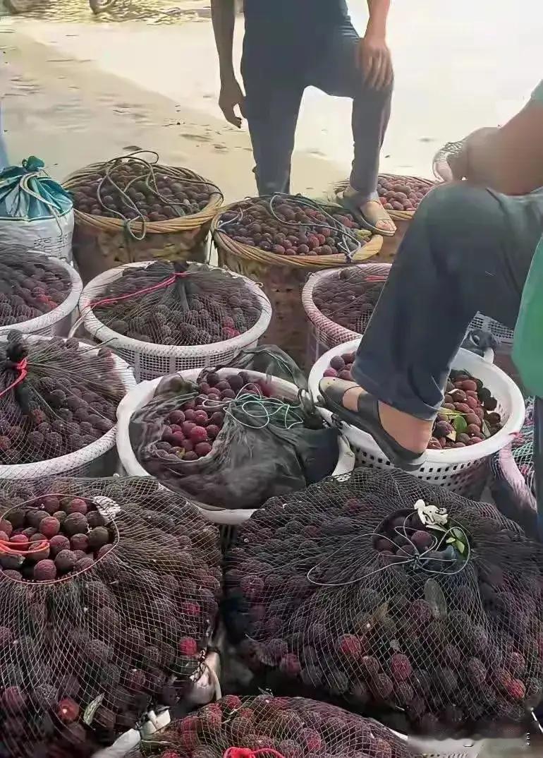 作为杨梅协会会长，不可能对市场出现的情况不了解，如果他一开始发现添加违禁品就主动
