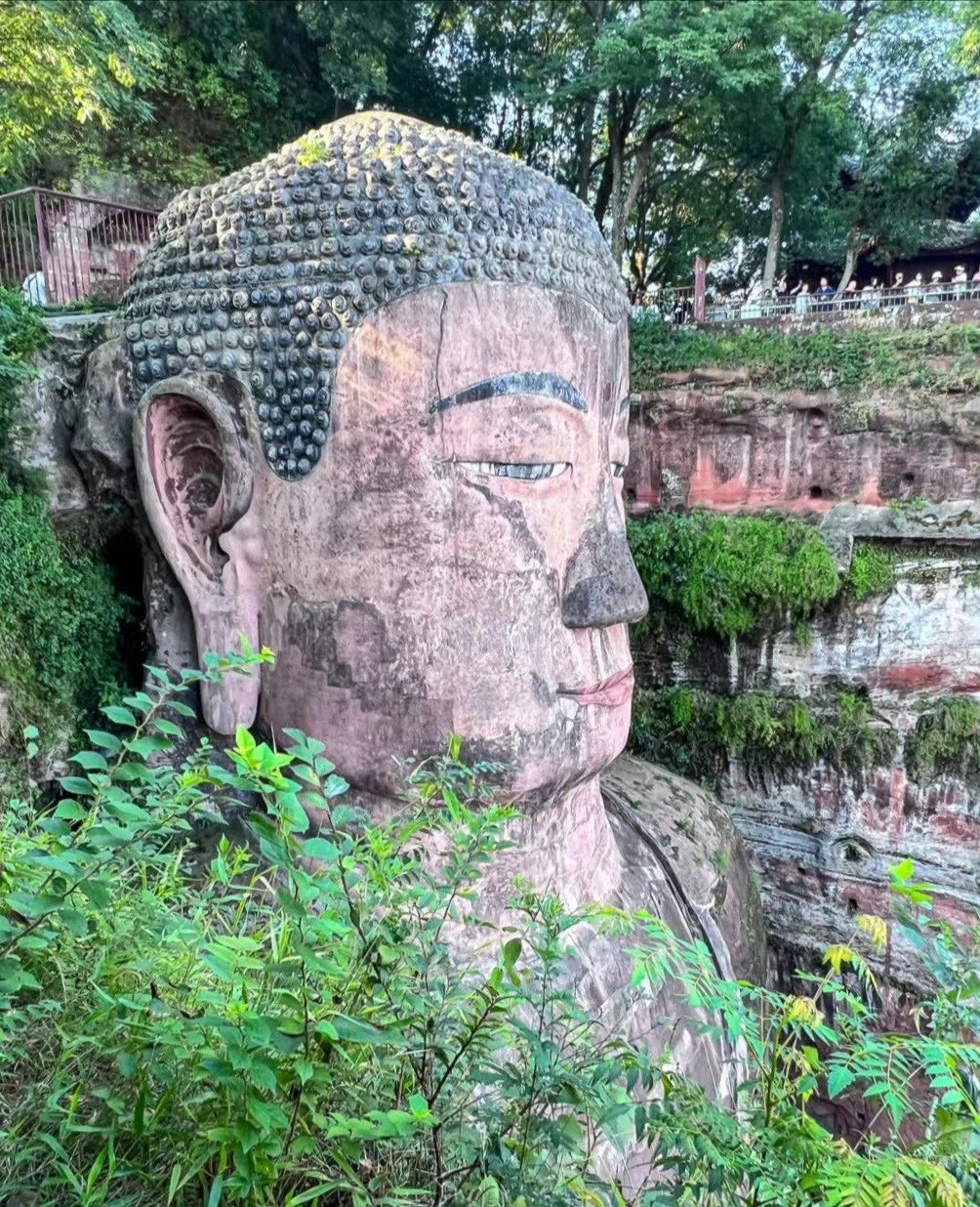 乐山大佛 刷到请不要无视 真的很灵~  转发接龙开新年