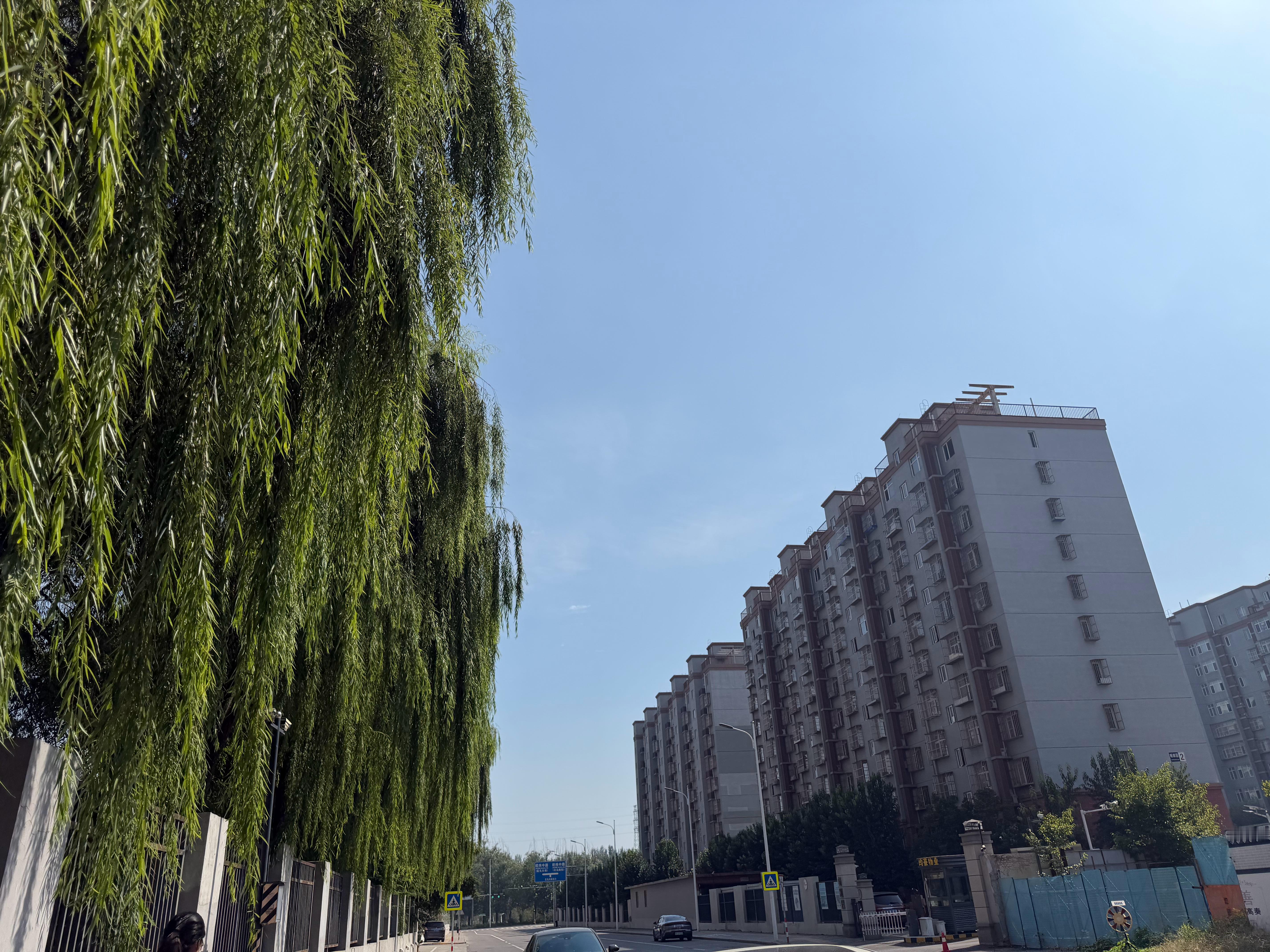 出来暴晒[融化][融化][融化]，不是已经立秋了吗，咋这么热生活手记 ​​​