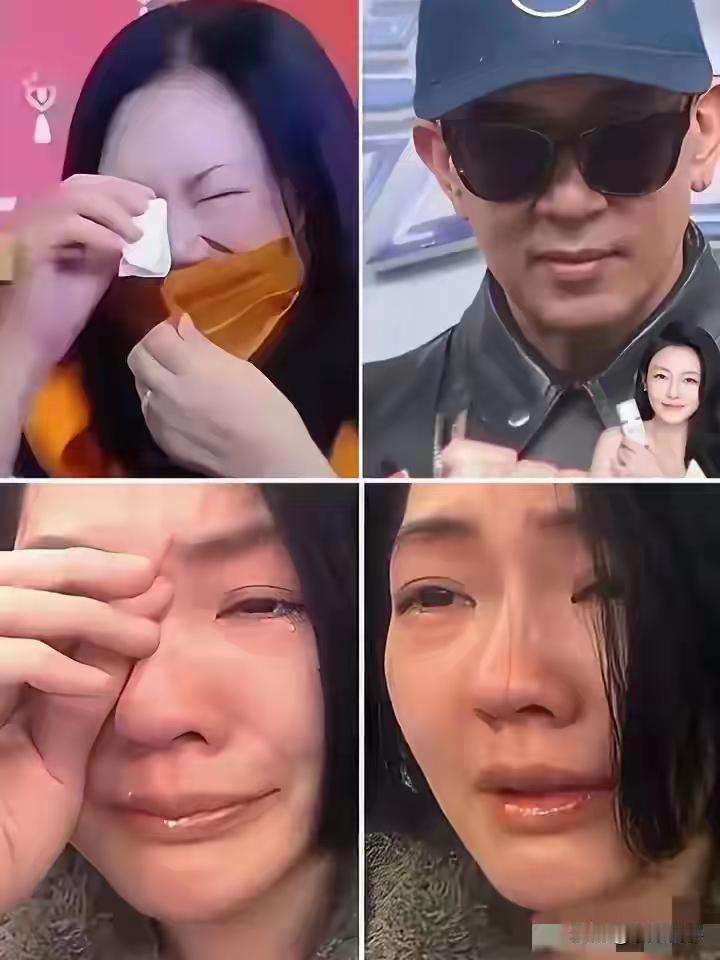 小菲都没有想到，自己突然有那么多对手，怎么办，都是自己曾经的家人。问题来了，他把