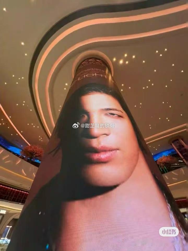 东永裴是土豆塑 