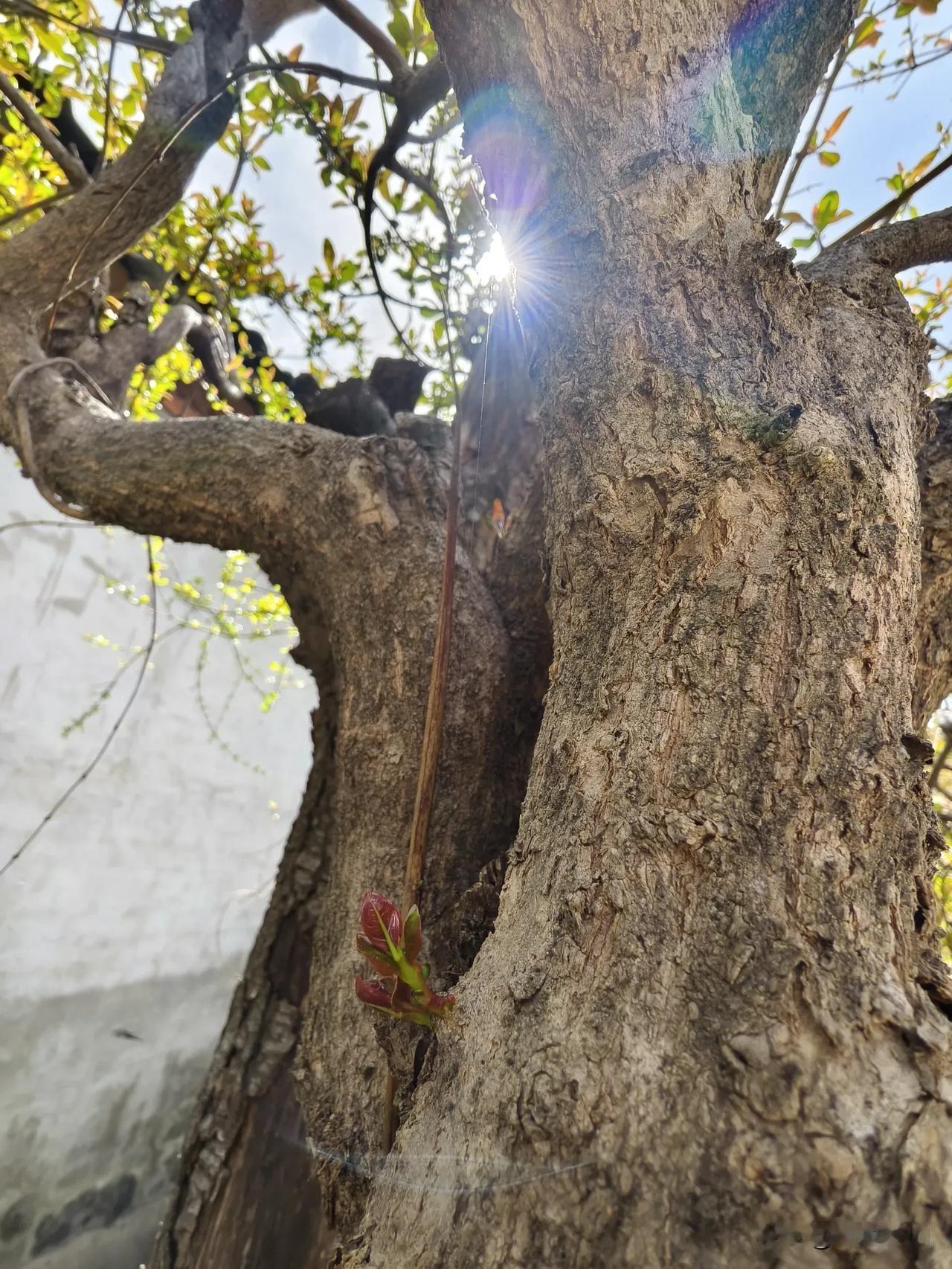 我发现，同事之间可以谈工资，但很少谈存钱。

办公室里，很热闹，可以谈家庭，可以