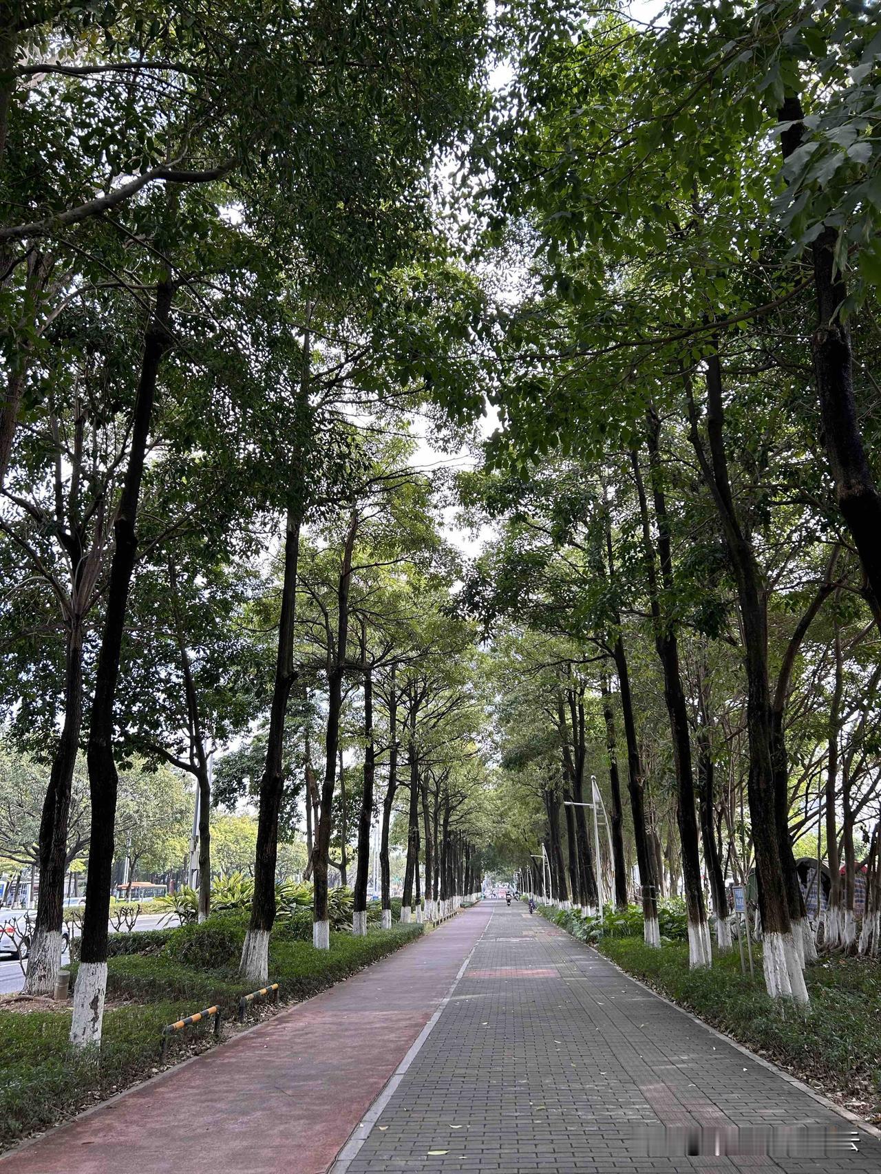 刷到一个高赞的评论：

很多事情别人能做你不能做，或者没办法坚持下去！

本质上