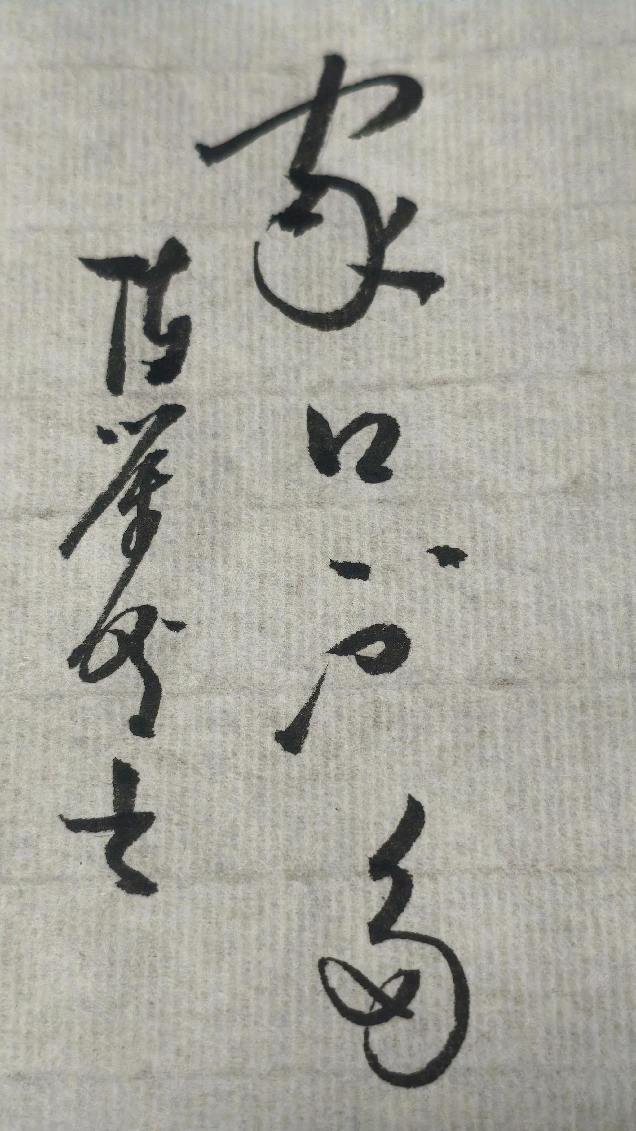 正确的答案写出来评论区聊聊，这个“不”字不太好认，你笔的“不”字咋写的草书 写字