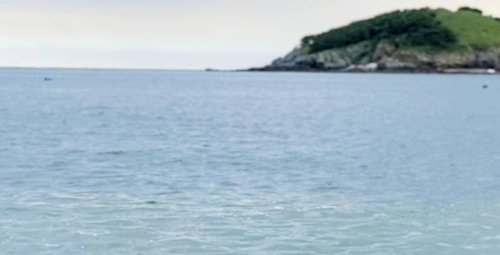 美F35C战机坠海这事闹得沸沸扬扬。原本美军想在中国家门口秀肌肉，结果自己出了洋