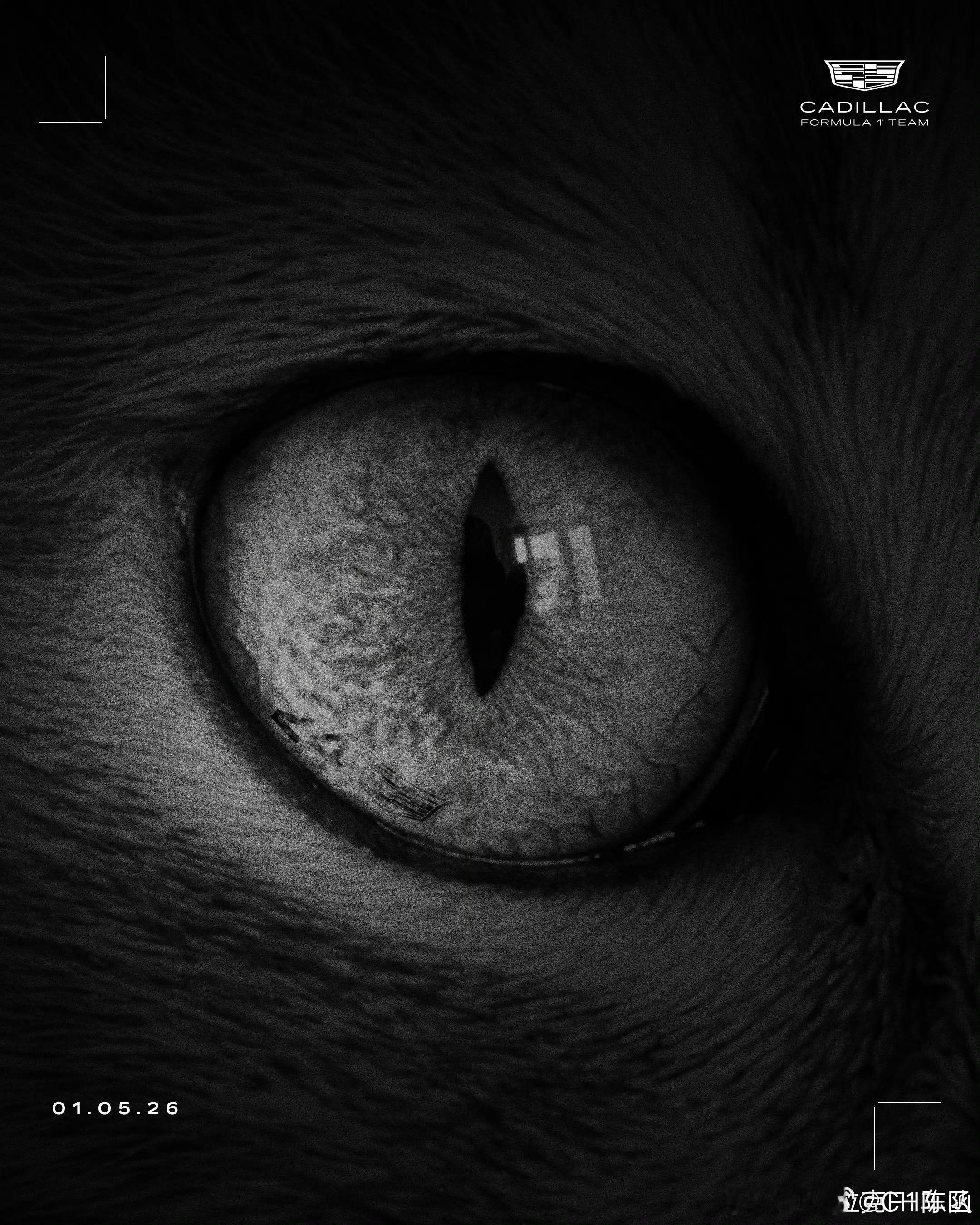 凯迪拉克F1车队发了张海报暗示新车手！对！你没有猜错！24号车手，就是我！绝对不