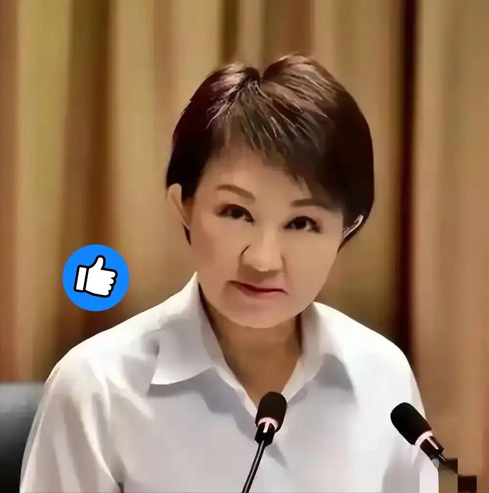 6月15日，卢秀燕在抵达桃园机场后，面对媒体时表示，这次为期十天的访欧非常顺利成