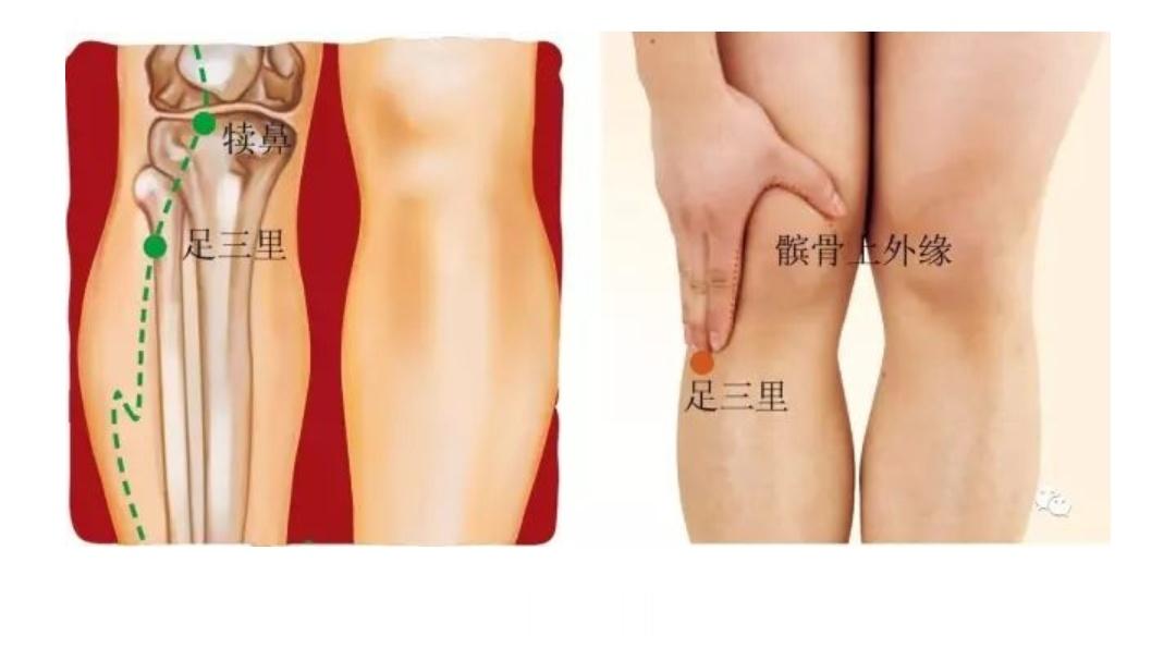 华夏生生医学每日一临证名言：【#国医的精诚力量#】27、久病先针足三里。【#中医