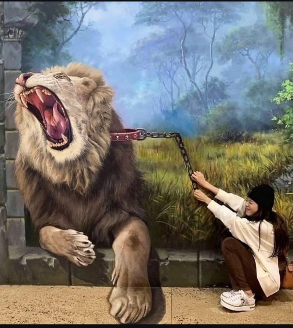 2019  VS  2026金智秀与大型猫猫 