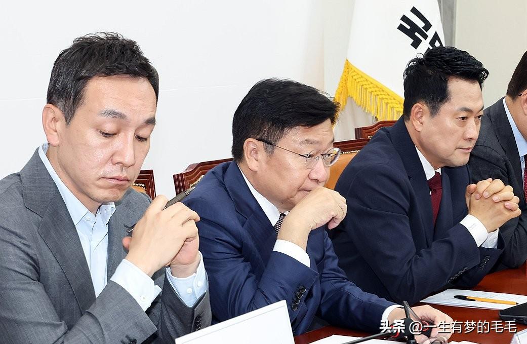党内彻底撕裂！韩国国民力量党陷激烈内讧，党首张东赫去留引发两极对立

22日，韩