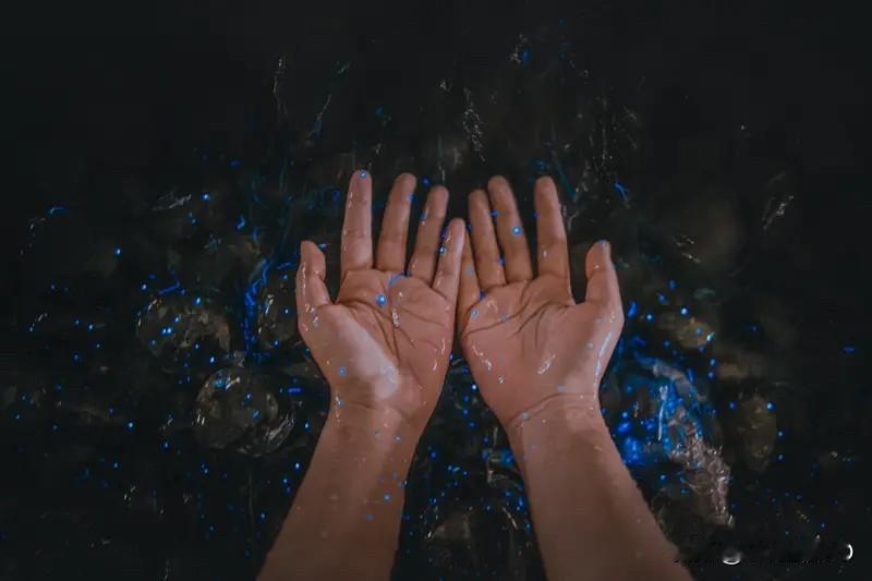 科学家研究的一切物质都是改变世界的；都是改变人类的；量子技术无处不在；AI包括量