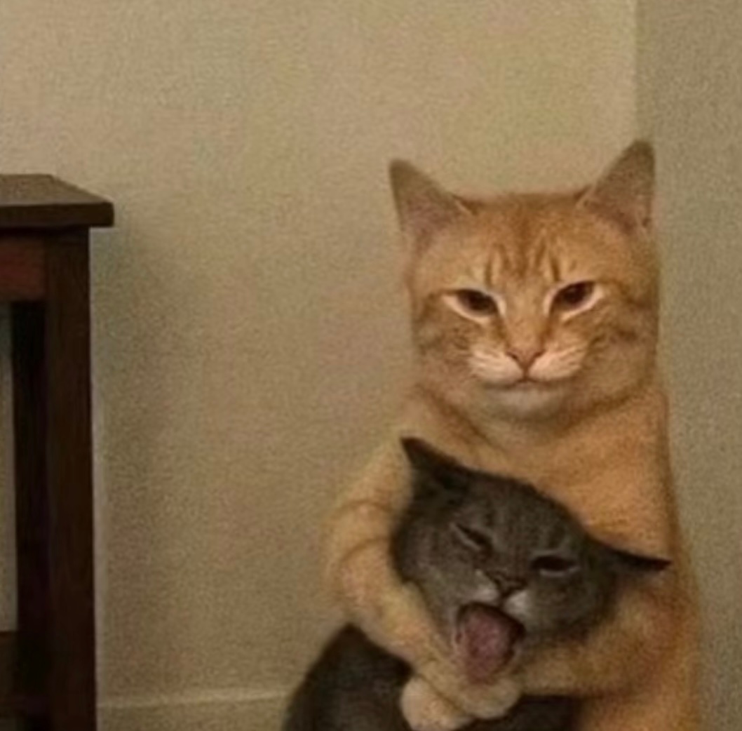 吴克群被戴佩妮锁喉 猫塑一下 