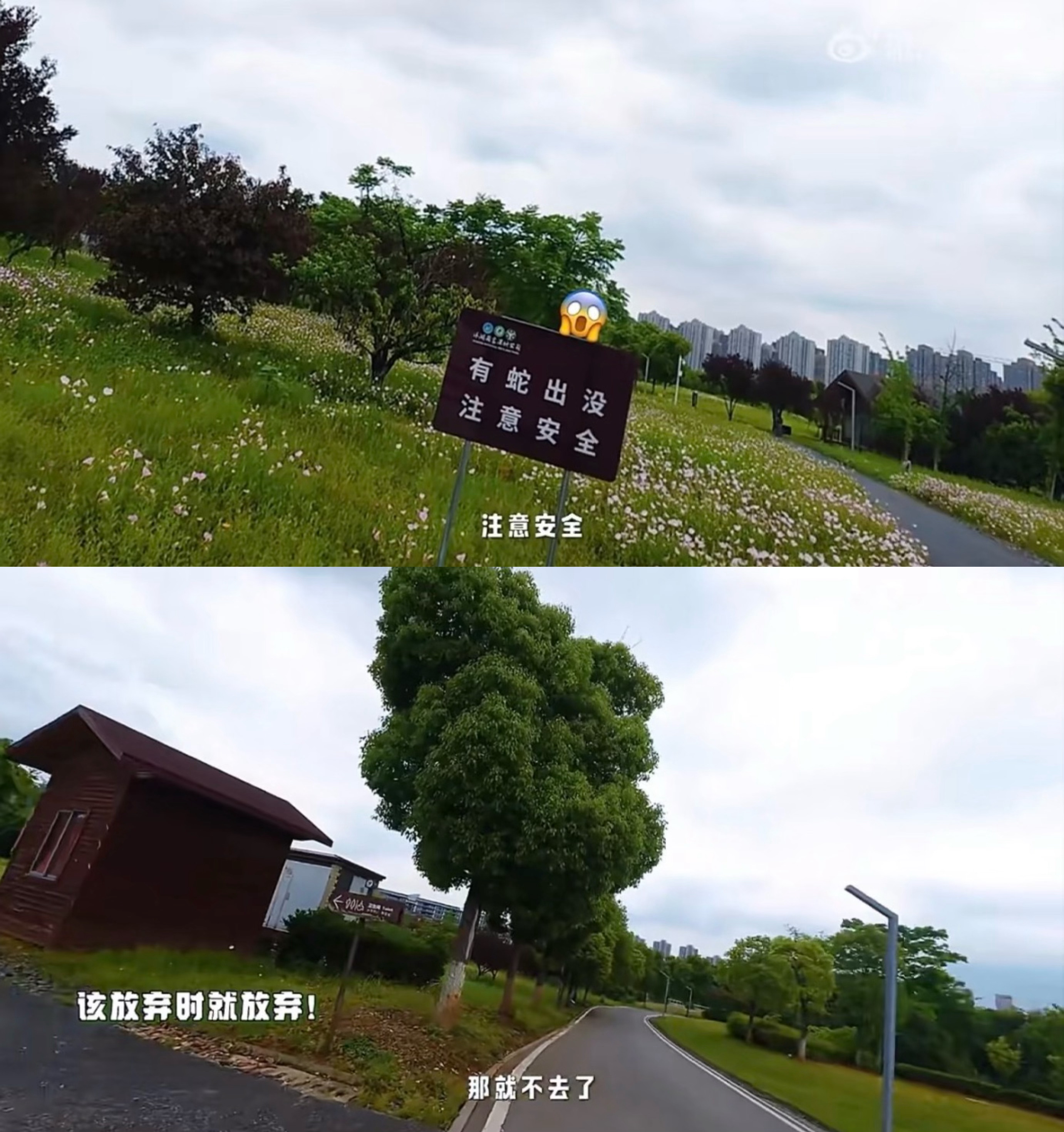 “该放弃时就放弃！”哈哈哈ee咋怎么这么可爱，还有那e式表情包绝了真的爱惨了这样