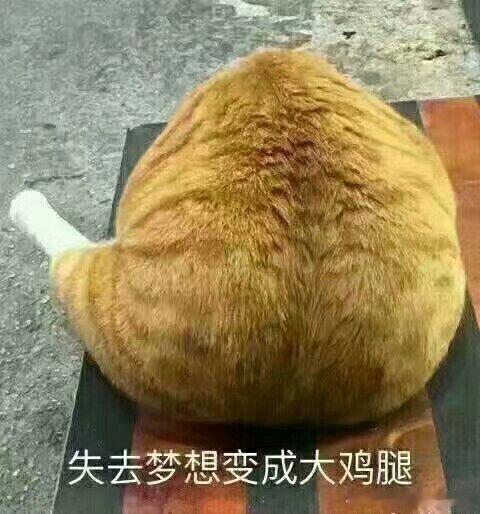 家务潜规则谁忍不了谁做所有家务当中扔垃圾简直是幸福感最高的活，不用耗费体力，做完