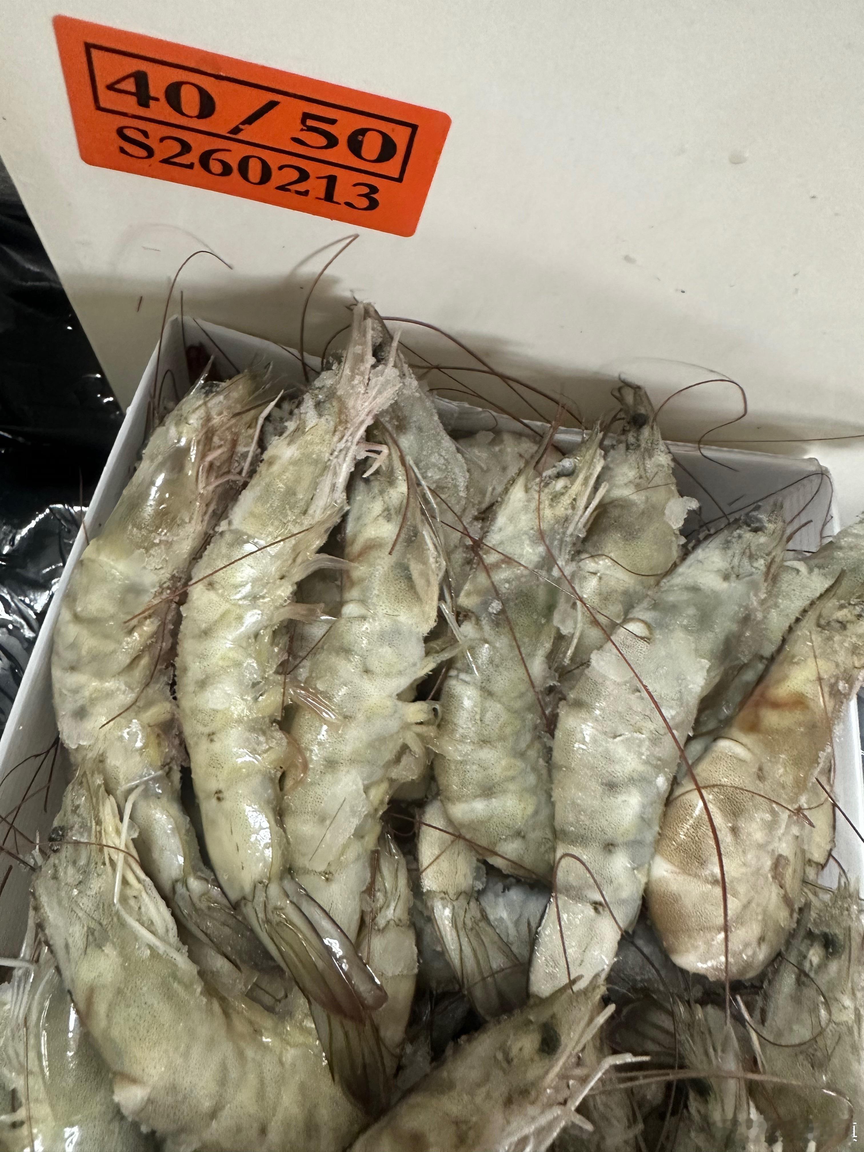 日常闭眼囤的高性价比好虾✨周末仓库正常发货哈～肉眼看得见的新鲜，4050的个头刚
