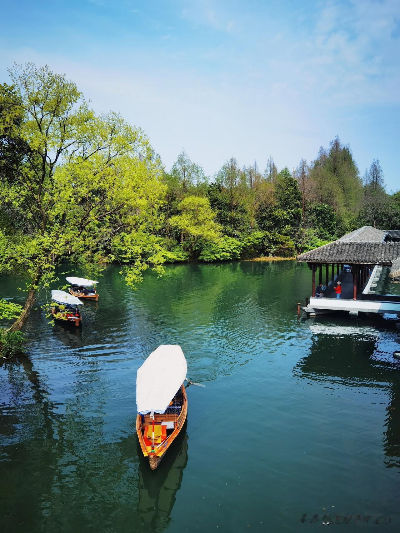 杭州西湖杨公堤旁浴鹄湾景区，这里不仅景色美，桥也非常有特色，今天我想要分享的是“