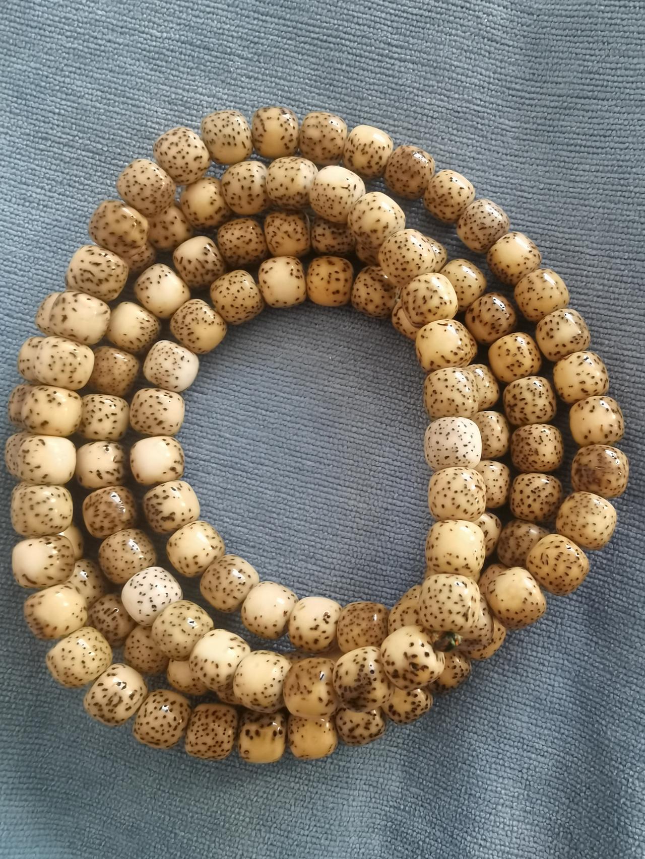 看看我的这几条星月，还有没有玩的必要，哪一条能够玩出点出息，各位给参谋一下。
