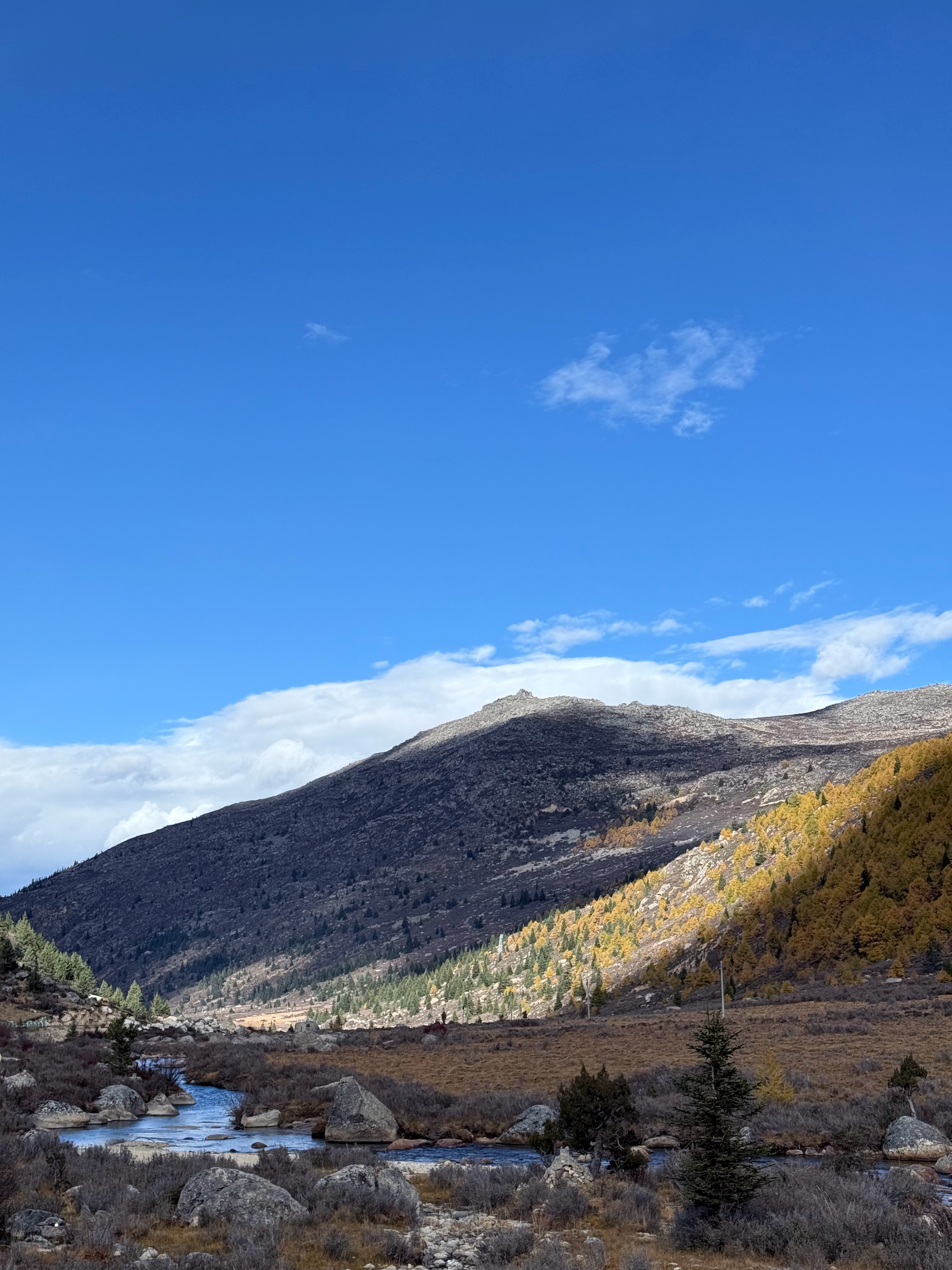 好看的风景都在路上  ​​​