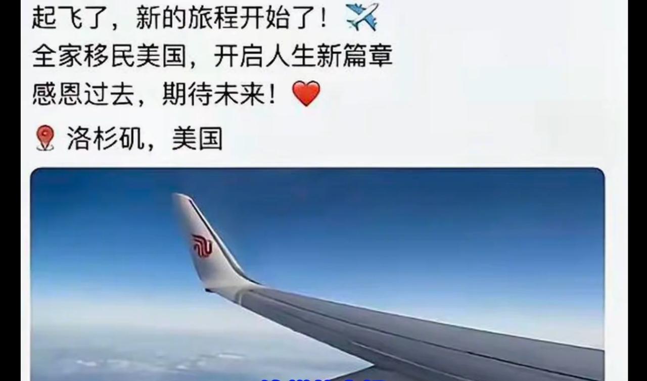 这个人走了，乘坐飞机去了大洋彼岸。你走就走吧，你静悄悄的走，没人拦着你，可是非要