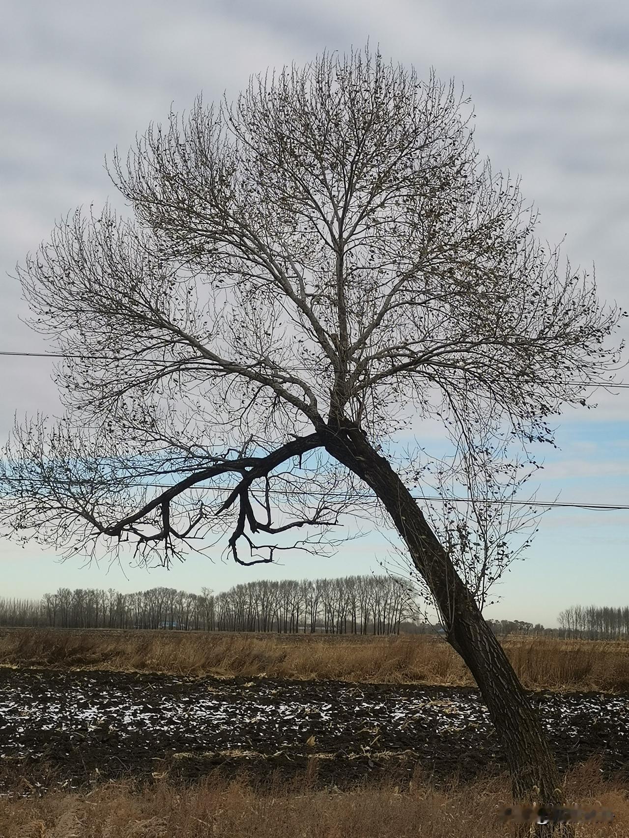 以前咱总被“29岁就过青年期”PUA，现在官方发话：18-44岁都是青年人，45