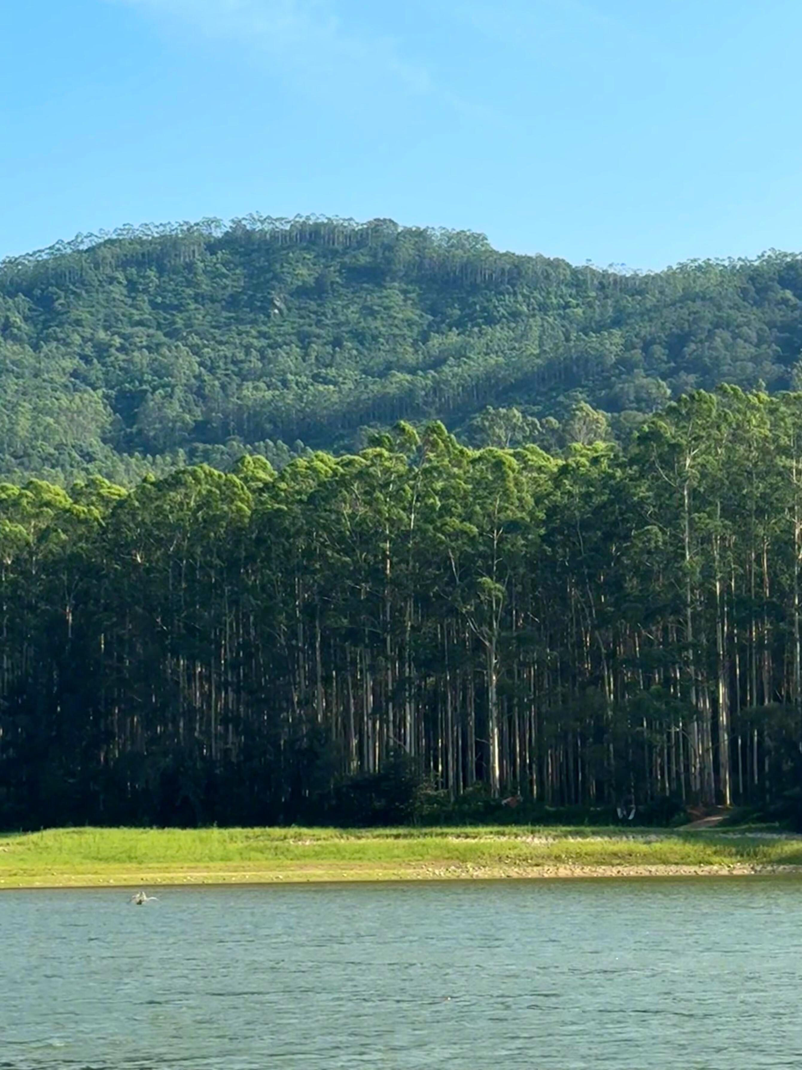 好像突然理解了夏天高温融化了很多固执🌻暴雨冲刷掉左顾右盼的犹豫一层层不必要的壳