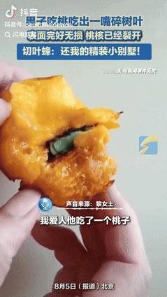 “这下解释不清了！”北京一男子吃桃子时，咬开桃子却发现里面有很多新鲜树叶，本以为