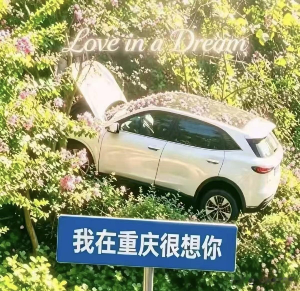 重庆的小伙伴们，今天（8月5日）看到最多的应该是这张图片和这个车的相关视频吧，你